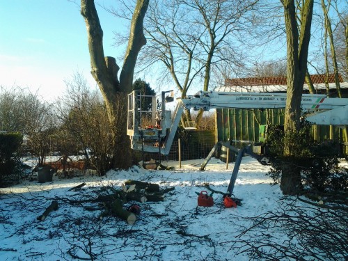 Woodcut.dk Have Park Skovservice